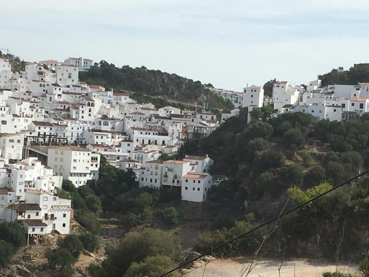 Casares Vacations Leilighet Eksteriør bilde