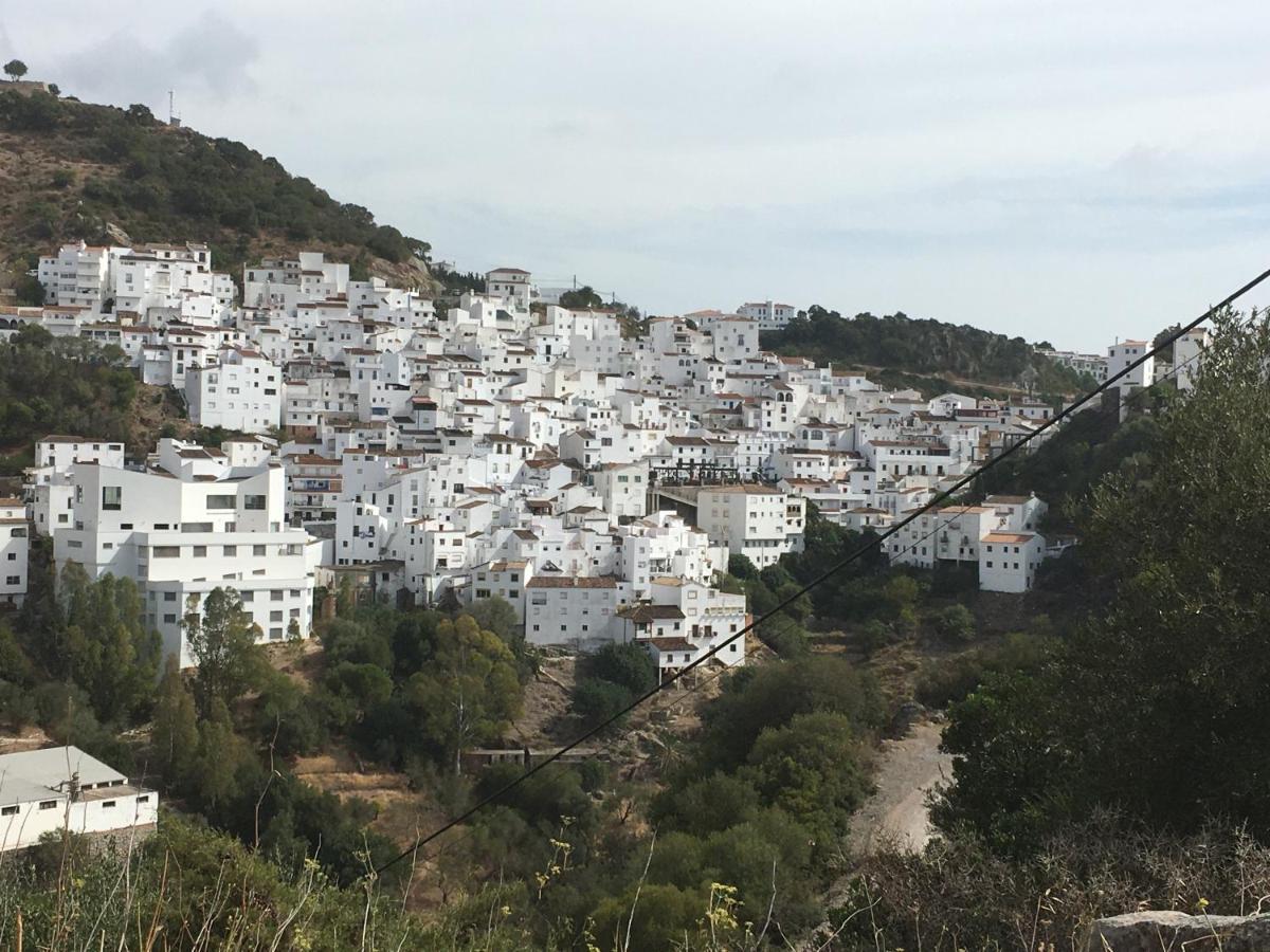 Casares Vacations Leilighet Eksteriør bilde